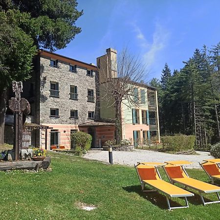 Il Bosco Di Campo Marzano Studios Borzonasca Bagian luar foto