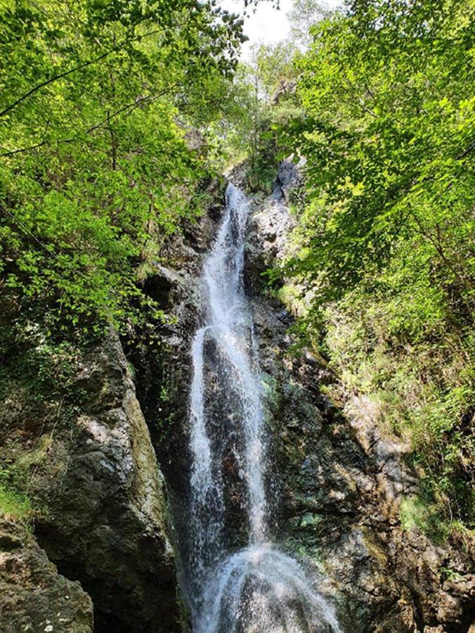 Il Bosco Di Campo Marzano Studios Borzonasca Bagian luar foto