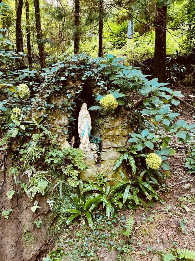 Il Bosco Di Campo Marzano Studios Borzonasca Bagian luar foto