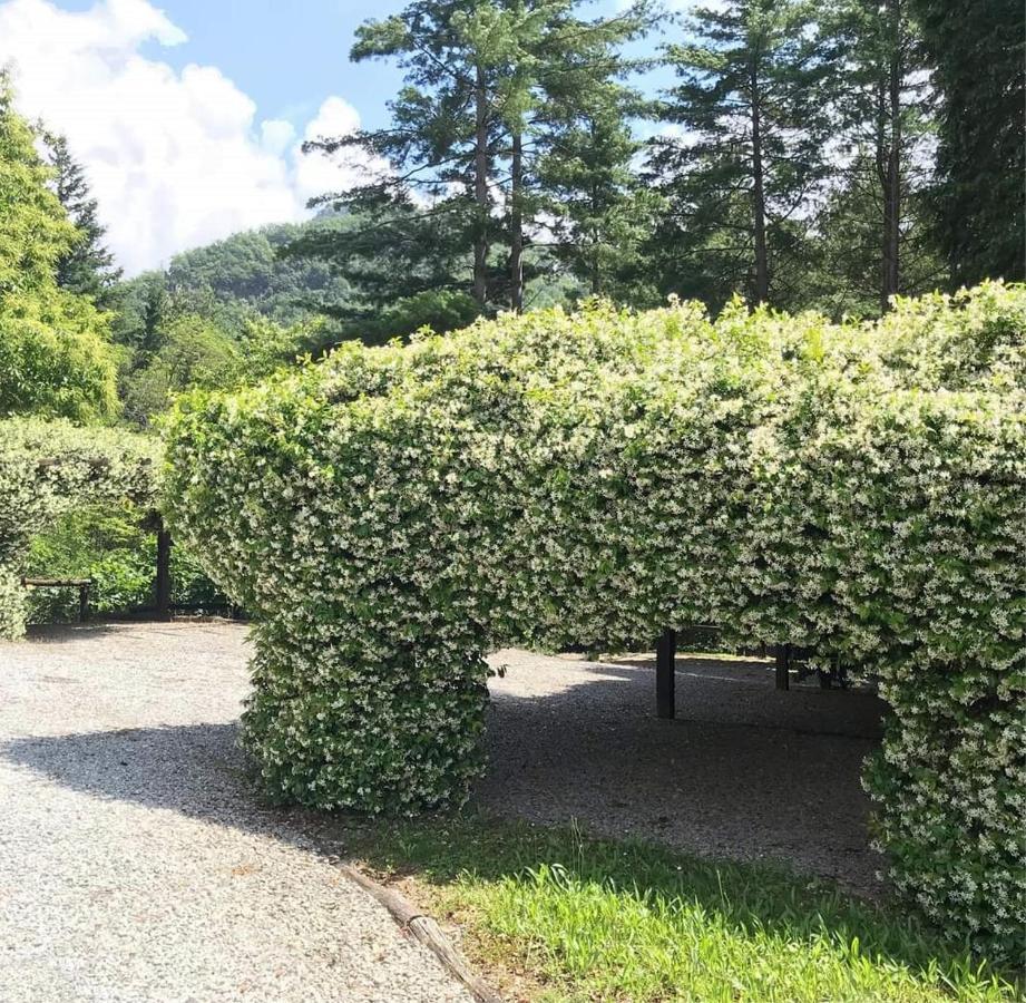 Il Bosco Di Campo Marzano Studios Borzonasca Bagian luar foto