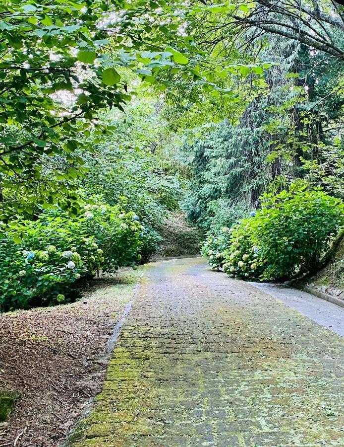 Il Bosco Di Campo Marzano Studios Borzonasca Bagian luar foto