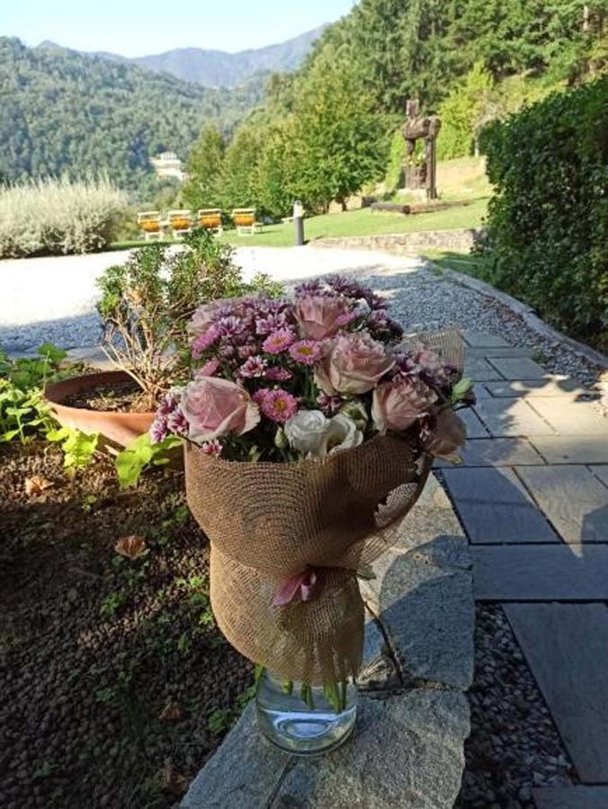 Il Bosco Di Campo Marzano Studios Borzonasca Bagian luar foto