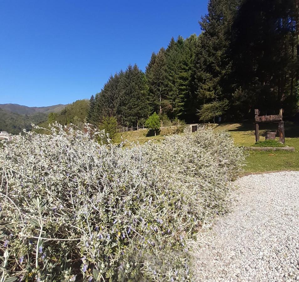 Il Bosco Di Campo Marzano Studios Borzonasca Bagian luar foto
