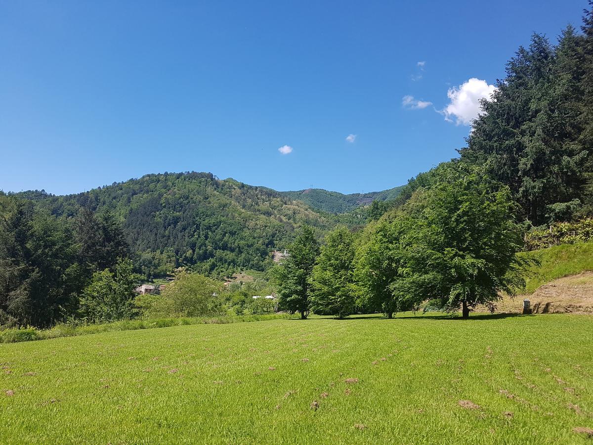 Il Bosco Di Campo Marzano Studios Borzonasca Bagian luar foto