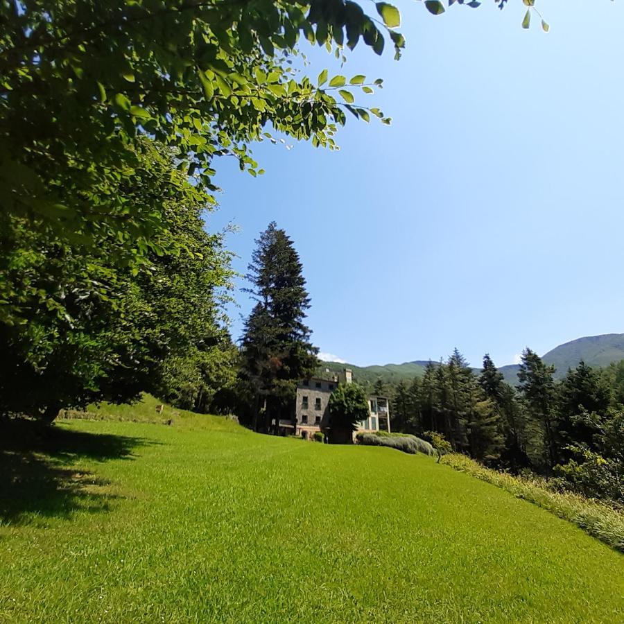 Il Bosco Di Campo Marzano Studios Borzonasca Bagian luar foto