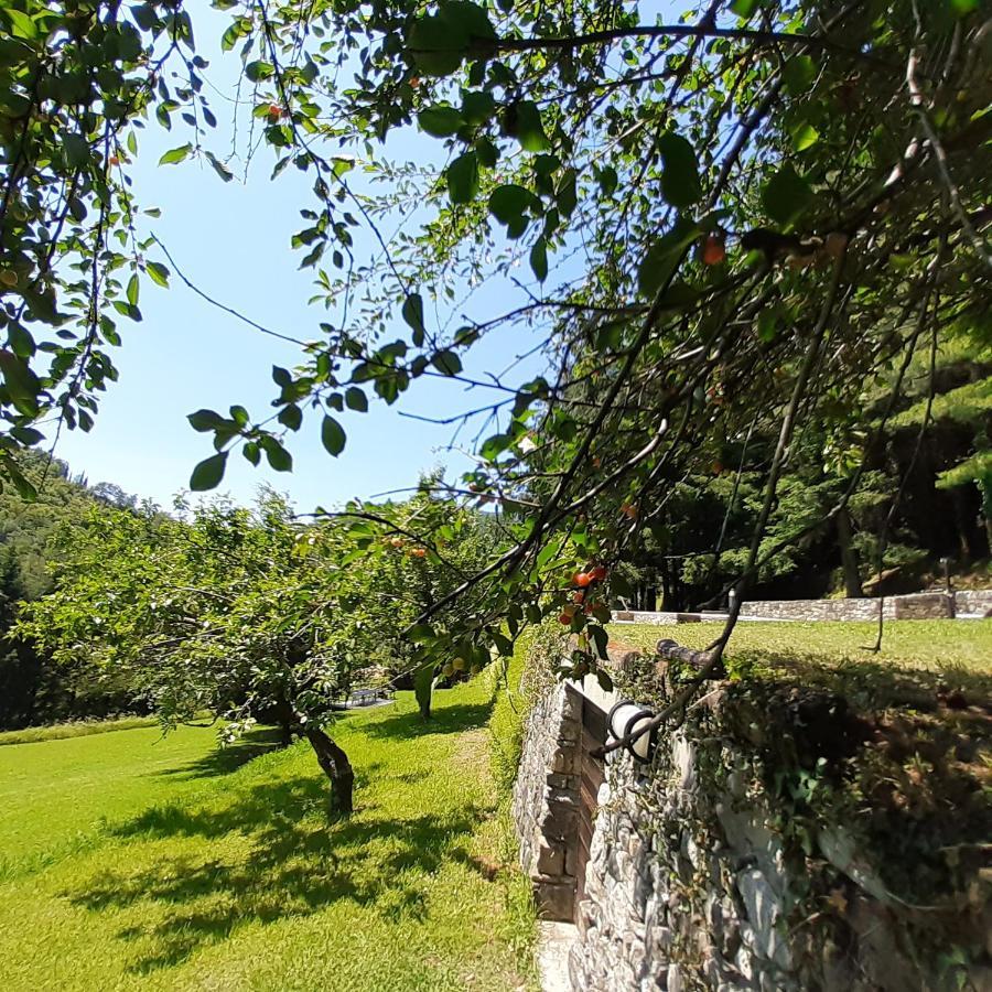 Il Bosco Di Campo Marzano Studios Borzonasca Bagian luar foto