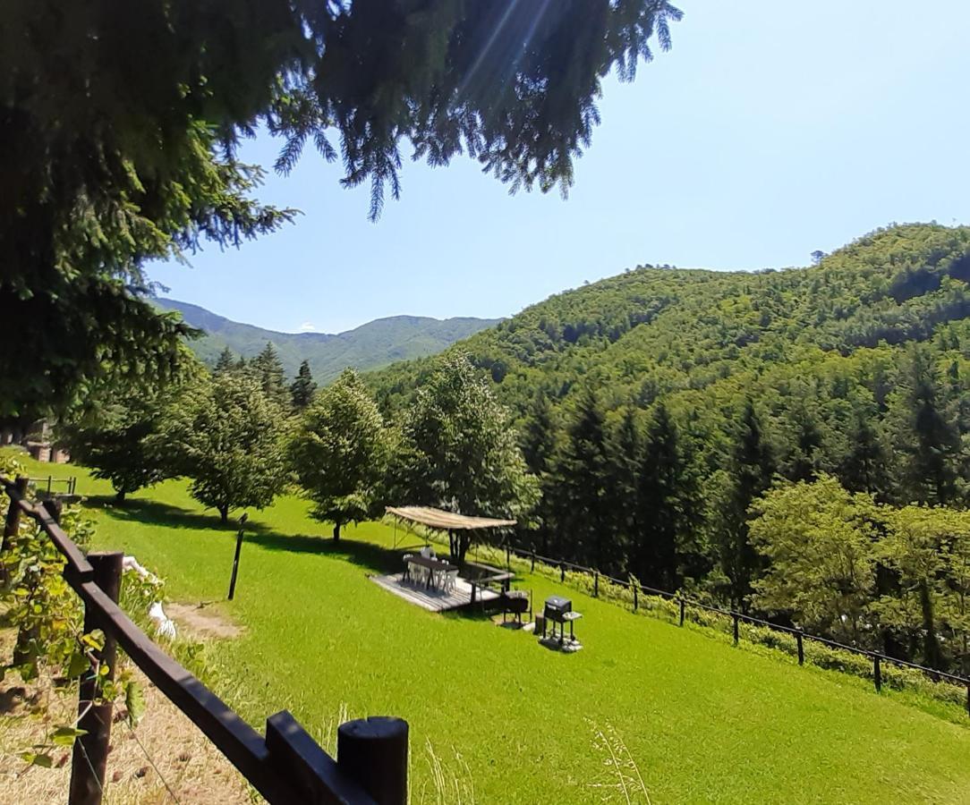 Il Bosco Di Campo Marzano Studios Borzonasca Bagian luar foto